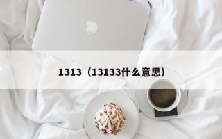 1313（13133什么意思）