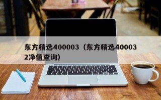 东方精选400003（东方精选400032净值查询）